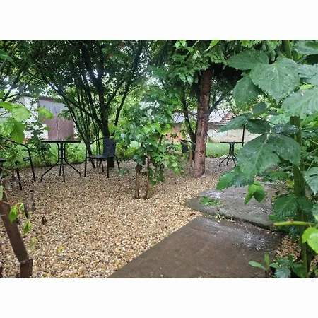 Privatunterkunft Anna Apartman Kunagota *